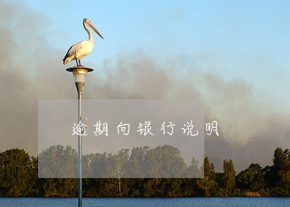 逾期向银行说明 逾期向银行说明