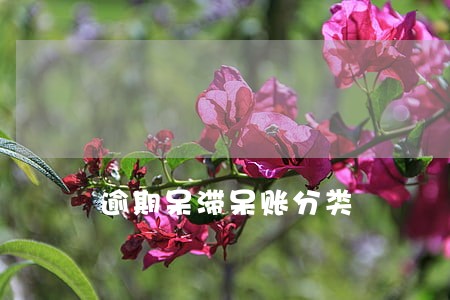 逾期呆滞呆账分类 逾期呆滞呆账分类