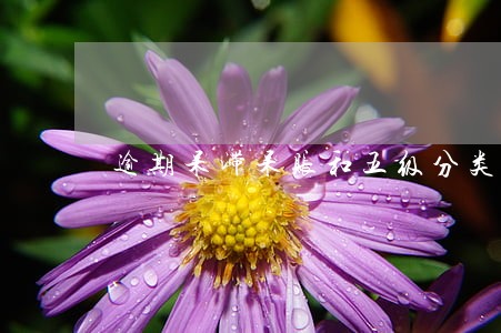 逾期呆滞呆账和五级分类 逾期呆滞呆账和五级分类