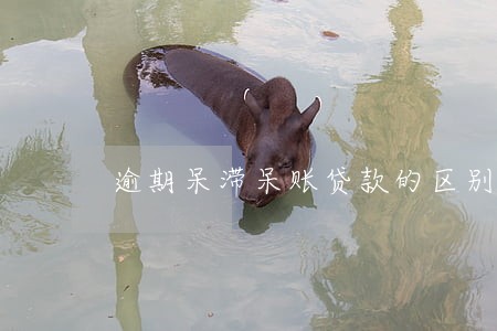 逾期呆滞呆账贷款的区别 逾期呆滞呆账贷款的区别