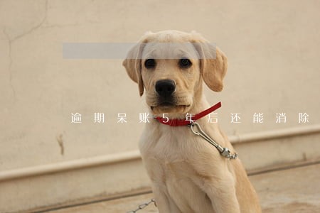 逾期呆账5年后还能消除吗 逾期呆账5年后还能消除吗