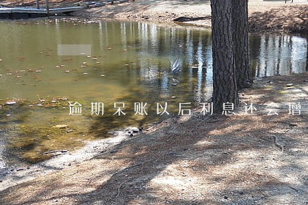 逾期呆账以后利息还会增加吗 逾期呆账以后利息还会增加吗