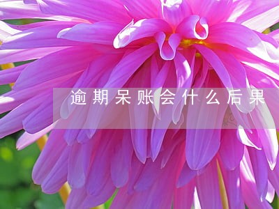 逾期呆账会什么后果 逾期呆账会什么后果