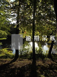 逾期呆账又涨利息 逾期呆账又涨利息