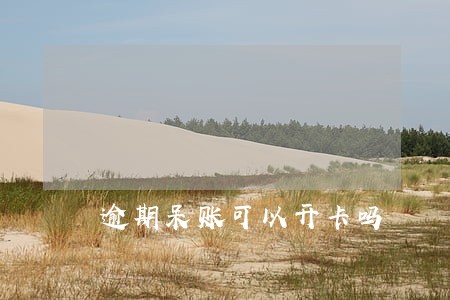 逾期呆账可以开卡吗 逾期呆账可以开卡吗
