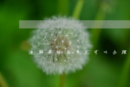 逾期呆账后多久可以办理信用卡 逾期呆账后多久可以办理信用卡
