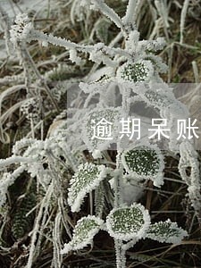 逾期呆账后还本金后呆账能消除吗 逾期呆账后还本金后呆账能消除吗
