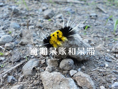 逾期呆账和呆滞 逾期呆账和呆滞