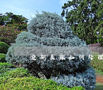 逾期呆账如何处理 逾期呆账如何处理