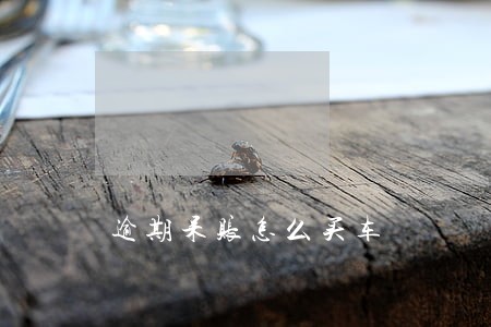 逾期呆账怎么买车 逾期呆账怎么买车