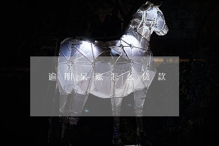 逾期呆账怎么贷款 逾期呆账怎么贷款