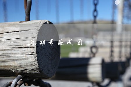 逾期呆账成因 逾期呆账成因