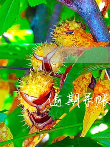 逾期呆账改销户 逾期呆账改销户