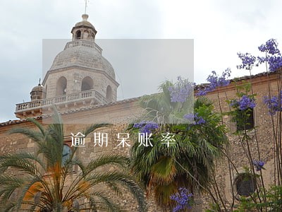 逾期呆账率 逾期呆账率