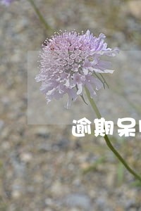 逾期呆账还可以贷款吗 逾期呆账还可以贷款吗