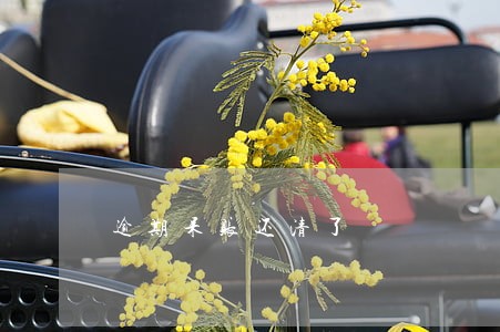 逾期呆账还清了