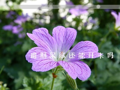 逾期呆账还能开卡吗 逾期呆账还能开卡吗