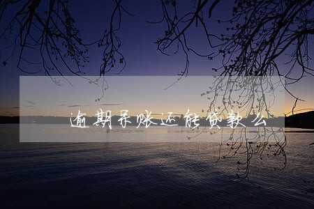逾期呆账还能贷款么