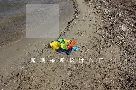逾期呆账长什么样
