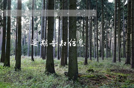 逾期告知信息