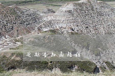 逾期告知函短信
