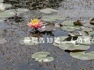 逾期告知第三人负债情况 逾期告知第三人负债情况