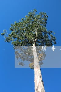 逾期告达催收函 逾期告达催收函