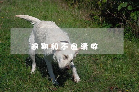 逾期和不良清收 逾期和不良清收