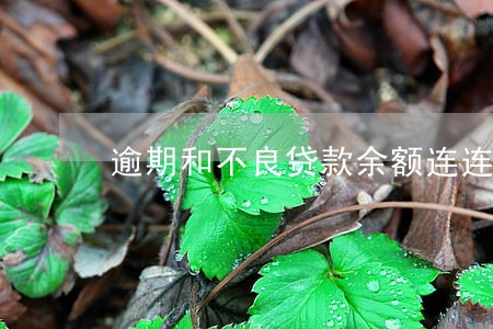 逾期和不良贷款余额连连 逾期和不良贷款余额连连