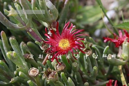 逾期和信用卡中心解释 逾期和信用卡中心解释
