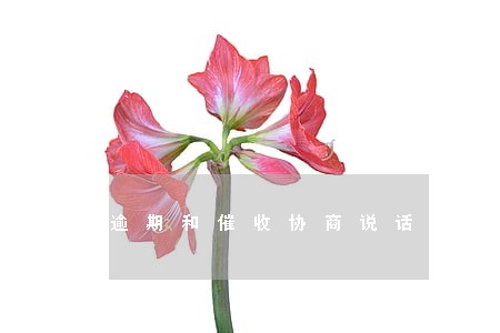 逾期和催收协商说话 逾期和催收协商说话