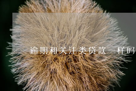 逾期和关注类贷款一样吗 逾期和关注类贷款一样吗