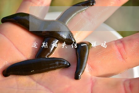 逾期和失信一样吗 逾期和失信一样吗