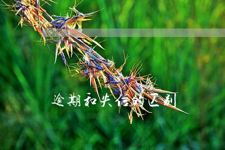 逾期和失信的区别 逾期和失信的区别