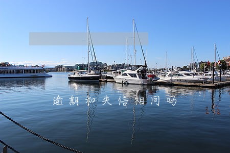 逾期和失信相同吗 逾期和失信相同吗