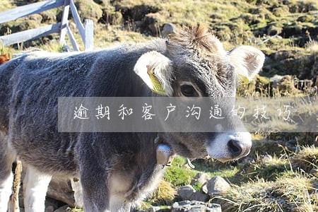 逾期和客户沟通的技巧 逾期和客户沟通的技巧