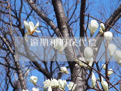 逾期和担保代偿 逾期和担保代偿