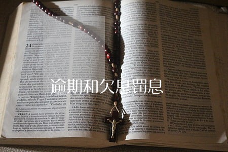 逾期和欠息罚息 逾期和欠息罚息