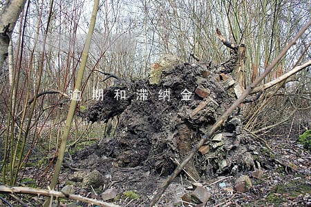 逾期和滞纳金 逾期和滞纳金