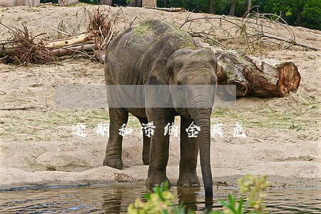 逾期和滞纳金减免 逾期和滞纳金减免