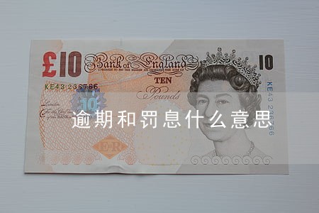 逾期和罚息什么意思 逾期和罚息什么意思