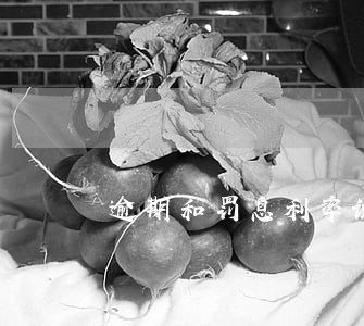 逾期和罚息利率说明 逾期和罚息利率说明
