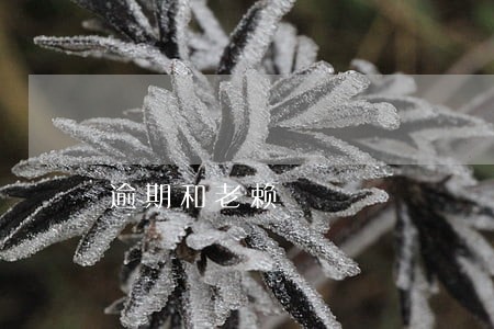 逾期和老赖 逾期和老赖