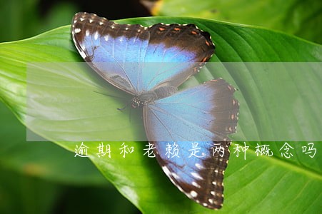逾期和老赖是两种概念吗 逾期和老赖是两种概念吗
