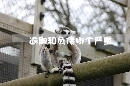 逾期和负债哪个严重 逾期和负债哪个严重