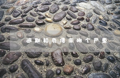 逾期和负债率哪个严重 逾期和负债率哪个严重