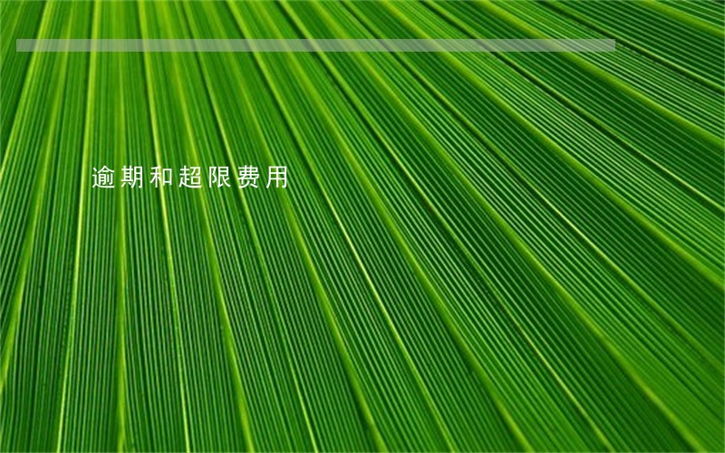 逾期和超限费用 逾期和超限费用