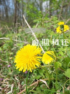 逾期和还没逾期的账单 逾期和还没逾期的账单