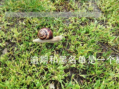逾期和黑名单是一个概念吗 逾期和黑名单是一个概念吗