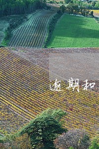 逾期和黑户区别